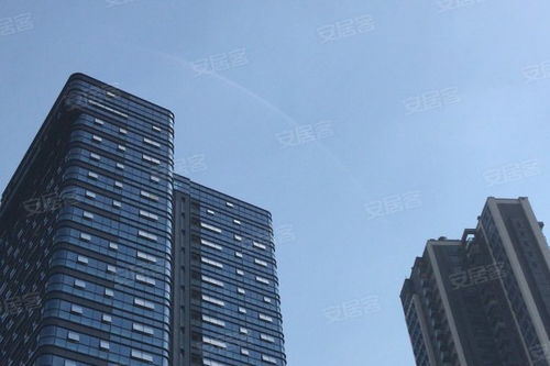 金地壹粵府綜合評析 優勢、不足與市場口碑